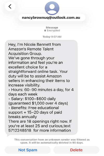 Fake Scam Message