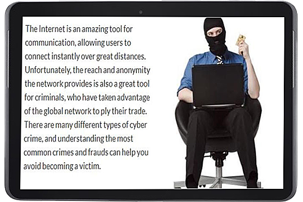 Computer Crimes